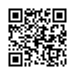 0387300704 QRCode