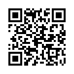 0394840011 QRCode