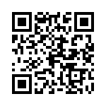 0399400204 QRCode