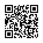 04025A100JAT2A QRCode