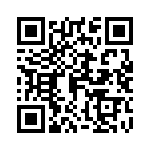 04025C101JAT2A QRCode