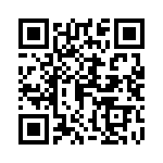 04025C152JAT2A QRCode