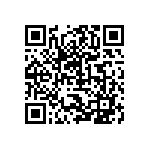 0402BB333K250NGT QRCode