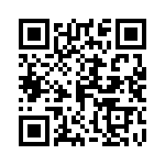 0402YC333JAT2A QRCode