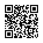 04200009UR QRCode