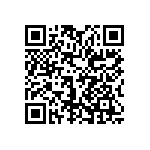 0505J0501P80DQT QRCode