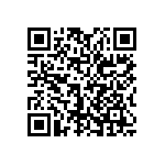 0505J2006P80DQT QRCode