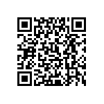 0505J250P500BQT QRCode