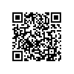 0505J250P700BQT QRCode