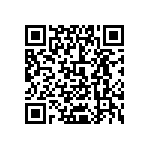 0505J3001P80BQT QRCode