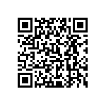 0505Y050P300CQT QRCode