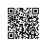 0505Y1001P90DQT QRCode