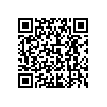 0505Y1003P30BQT QRCode