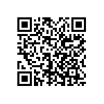 0505Y1006P80DQT QRCode