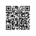 0505Y2002P20BQT QRCode