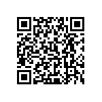 0505Y250P300BQT QRCode