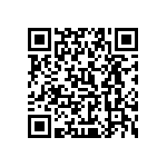 0505Y250P300HQT QRCode