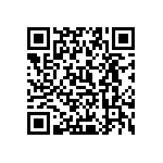 0505Y250P500BQT QRCode