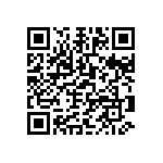 0505Y250P600DQT QRCode