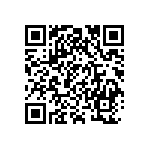 0505Y250P800BQT QRCode