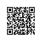 0505Y3001P00BQT QRCode