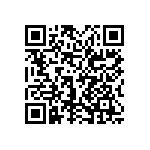 0505Y3001P30DQT QRCode