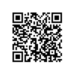 0505Y3001P80DQT QRCode