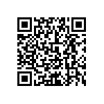 0505Y3001P90DQT QRCode