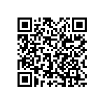 0505Y3002P10CQT QRCode