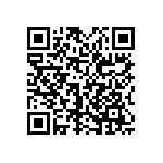 0505Y3002P10DQT QRCode