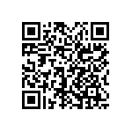 0505Y3003P60DQT QRCode