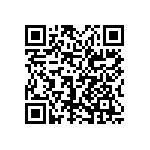 0505Y3003P90DQT QRCode