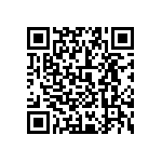 0505Y3005P60DQT QRCode