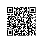 0505Y300P200DQT QRCode