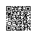 0505Y300P500HQT QRCode