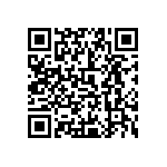 0505Y300P700DQT QRCode