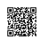 0505Y300P800DQT QRCode