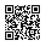 06031A120G4T2A QRCode