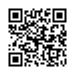 06032U0R2BAT2A QRCode