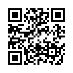 06033C100KAT2A QRCode