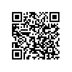 0603Y2000360KQT QRCode