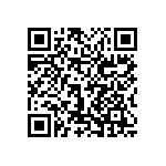 0603Y3001P20CQT QRCode