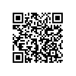 0603Y3001P60DQT QRCode