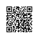 0603Y3002P00BQT QRCode