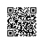 0603Y3002P20HQT QRCode