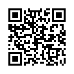 0676-250DRT4 QRCode