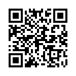 0685T1250-01 QRCode