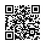 0702871291 QRCode