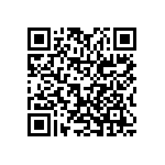 0805J0250822KXT QRCode