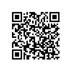 0805J063P300HQT QRCode